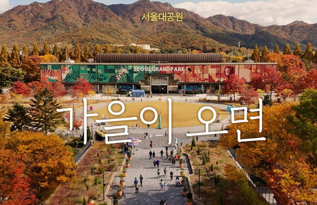 오피마트 핫플레이스 과천서울대공원